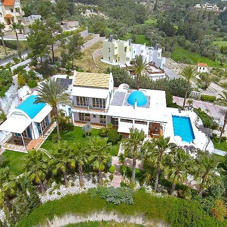 Grande Dame Of Rhodes *