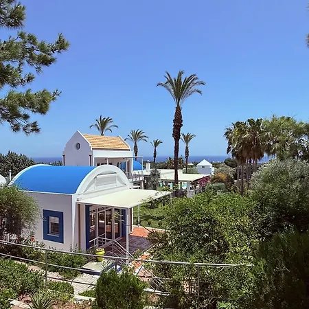 Grande Dame Of Rhodes *