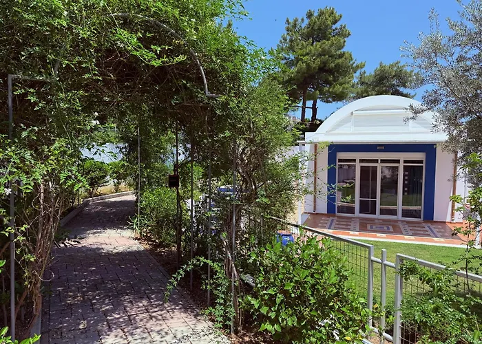 Grande Dame Of Rhodes *