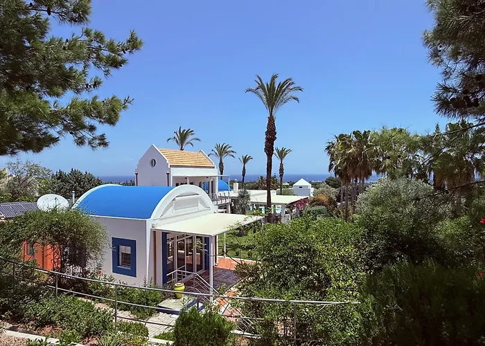 Grande Dame Of Rhodes *